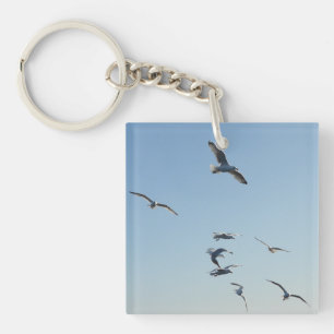Mouettes volant au-dessus des vagues de l'océan Oi