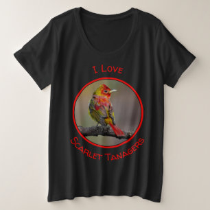 Moulage de Tangère - Photo originale