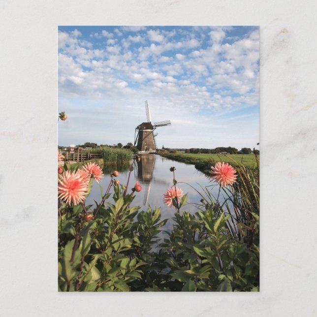 Moulin à vent, fleurs en Hollande carte postale ve (Devant)