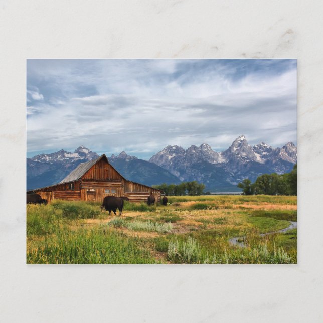 Moulton Barn Postkarte (Vorderseite)