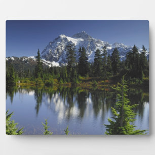 Mount Baker-Snoqualmie National Forest Fotoplatte