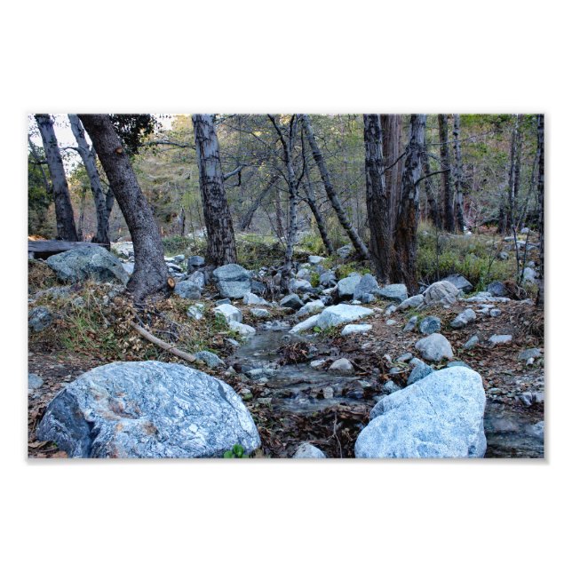 Mount Baldy  Fotodruck (Vorne)