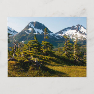Mount Eccles in der Nähe von Cordova, Alaska Postkarte