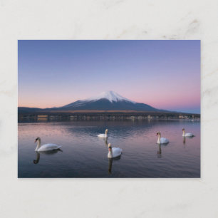Mount Fuji Yamanaka-See mit Schwänen Postkarte