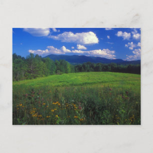 Mount Greylock aus Meadow Williamstown Postkarte