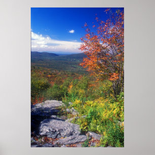Mount Greylock Round Rock Vista Poster
