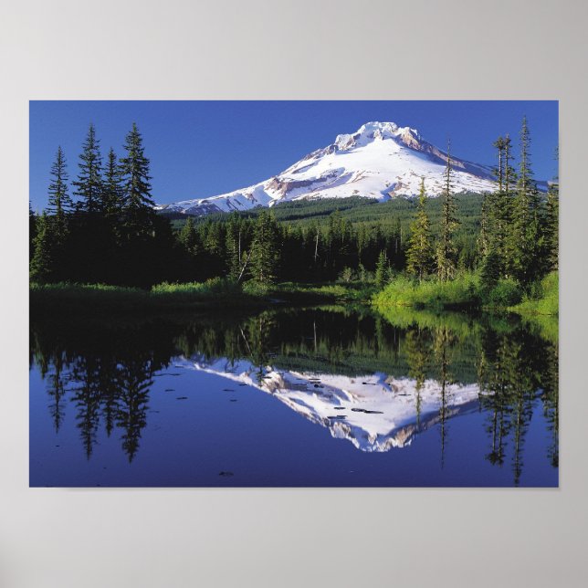 Mount Hood, Oregon Poster (Vorne)