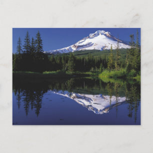 Mount Hood Postkarte