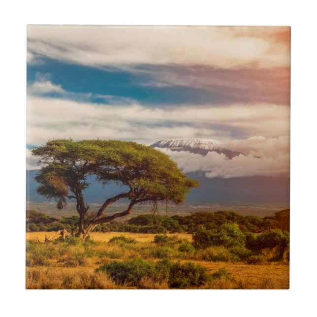 Mount Kilimanjaro | Amboseli, Kenia Fliese (Vorderseite)