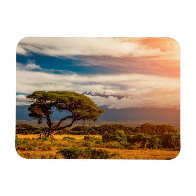 Mount Kilimanjaro | Amboseli, Kenia Magnet (Horizontal)