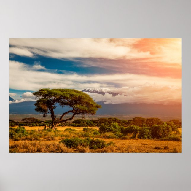 Mount Kilimanjaro | Amboseli, Kenia Poster (Vorne)