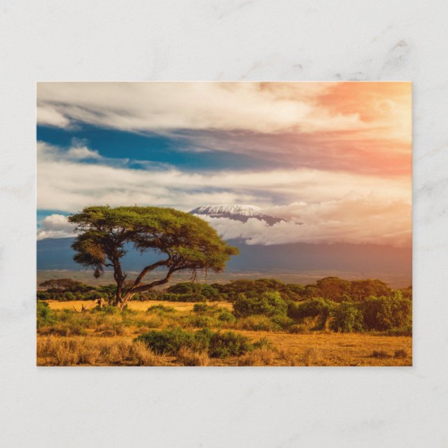 Mount Kilimanjaro | Amboseli, Kenia Postkarte (Vorderseite)