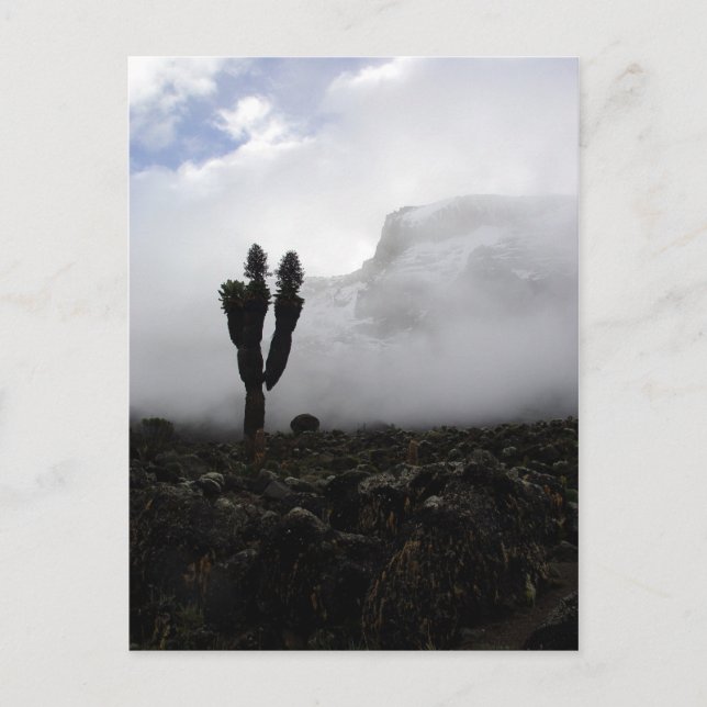 Mount Kilimanjaro (Portrait) Postkarte (Vorderseite)