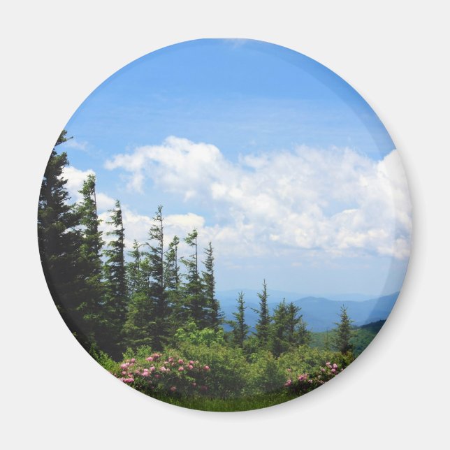 Mount Mitchell Staat Park Magnet (Vorne)