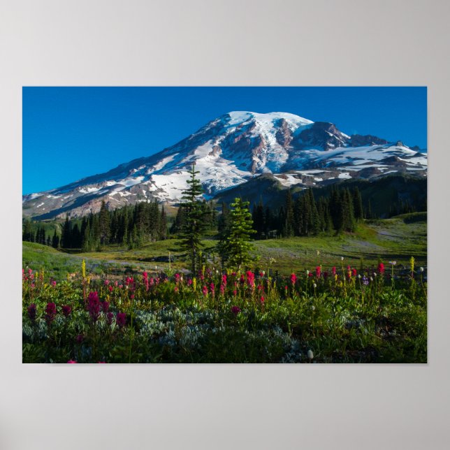 Mount Rainer-Wildblumen Poster (Vorne)