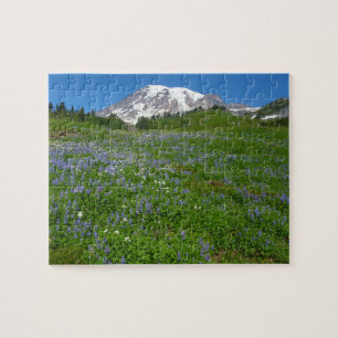 Mount Rainier mit violetten Lupinen