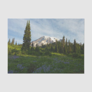 Mount Rainier Morgenlicht Seidenpapier