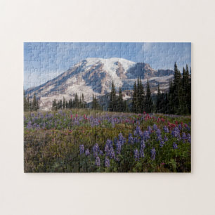 Mount Rainier National Park, Mount Rainier 3