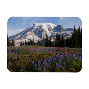 Mount Rainier National Park, Mount Rainier 3 Magnet