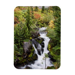 Mount Rainier Nationalpark, Herbstbach Magnet