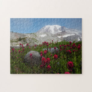 Mount Rainier Nationalpark, Mount Rainier 1