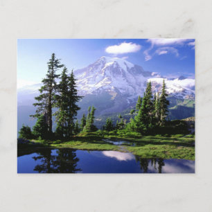 Mount Rainier Postcard Postkarte