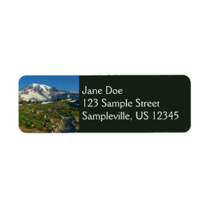Mount Rainier Skyline Trail Aussicht