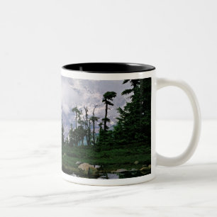 Mount Rainier spiegelt sich in einem Bergsee Zweifarbige Tasse