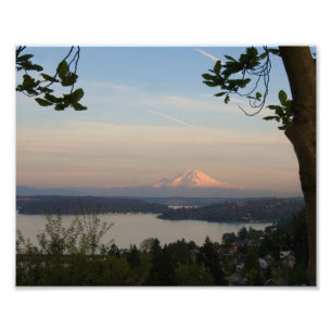 Mount Rainier Vista Fotodruck
