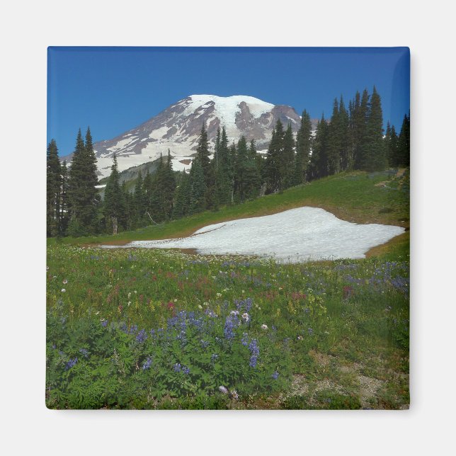 Mount Rainier, Wildblumen und Schnee Magnet (Vorne)