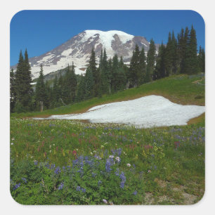 Mount Rainier, Wildblumen und Schnee Quadratischer Aufkleber