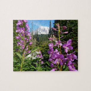 Mount Rainier zwischen lila Phlox-Blumen