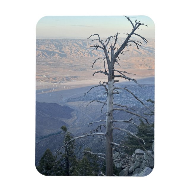 Mount San Jacinto State Park Magnet (Vertikal)