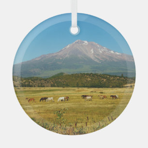 Mount Shasta Horse Herd Ornament Aus Glas