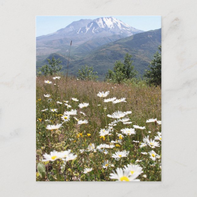 Mount St. Helens Postkarte (Vorderseite)