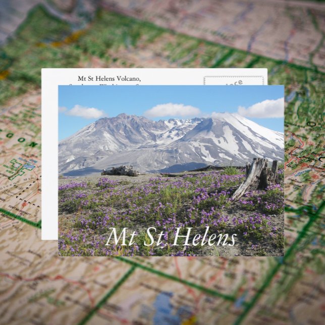 Mount St Helens Wildblumen Reisen Foto Postkarte (In Situ Map)