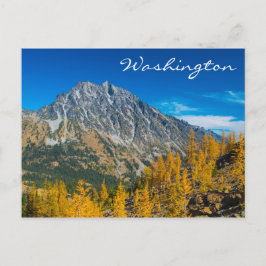Mount Stuart & Herbstlarven Postkarte