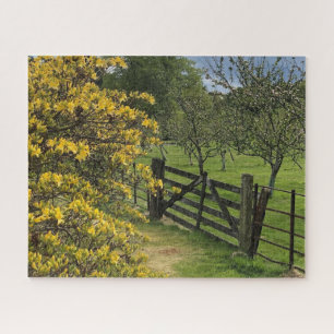 Mount Stuart Obstgarten & Tor Isle of Bute, Schott