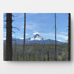 Mount Washington Fotoplatte