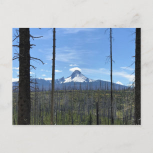 Mount Washington, Oregon Postkarte