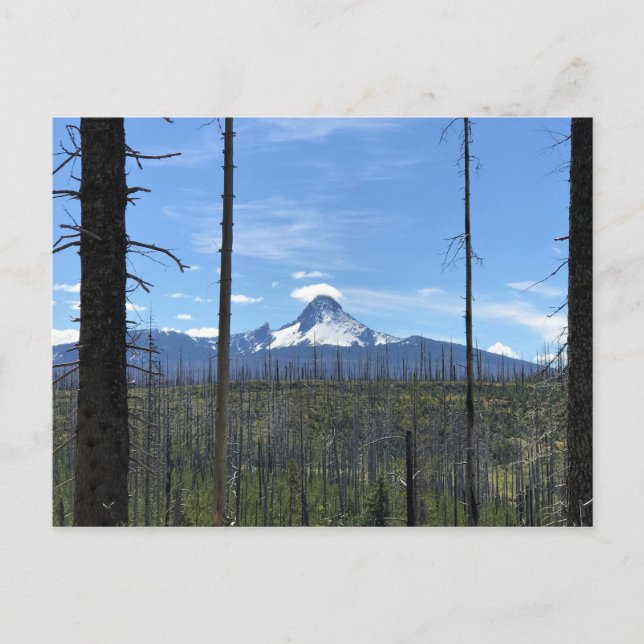 Mount Washington, Oregon Postkarte (Vorderseite)