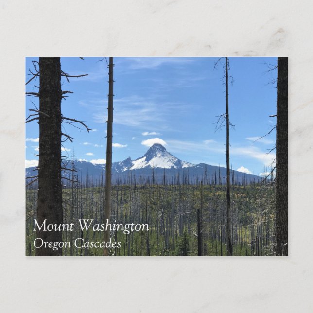 Mount Washington, Oregon Postkarte (Vorderseite)