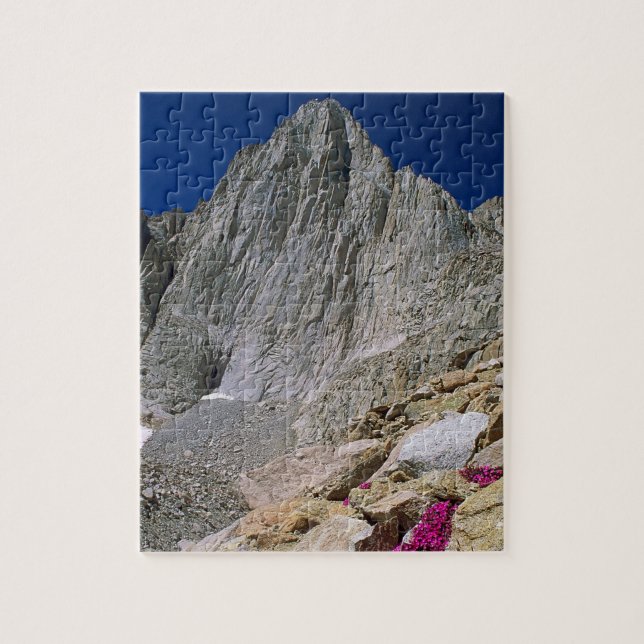 Mount Whitney und Wildblumen (Vertikal)
