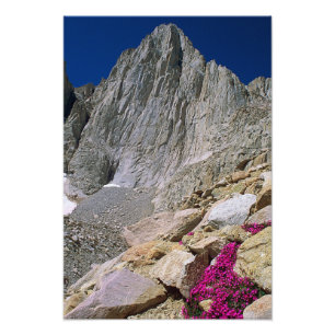 Mount Whitney und Wildblumen Fotodruck