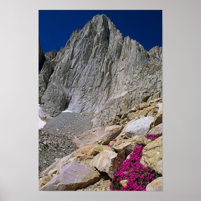 Mount Whitney und Wildblumen Poster (Vorne)