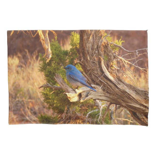 Mountain Bluebird at Arches National Park Kissenbezug (Vorderseite)