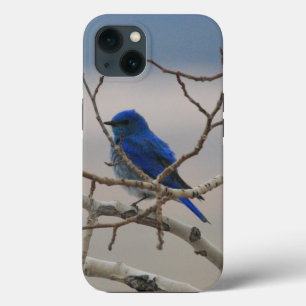 Mountain Bluebird Case-Mate iPhone Hülle