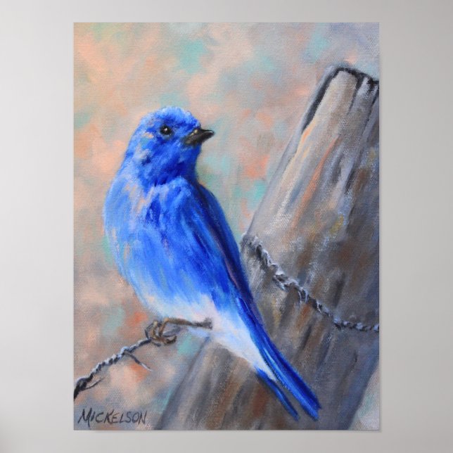 Mountain Bluebird Fine Art Poster (Vorne)