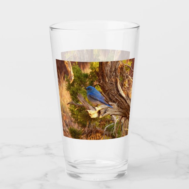 Mountain Bluebird im Nationalpark Arches Glas (Vorderseite)