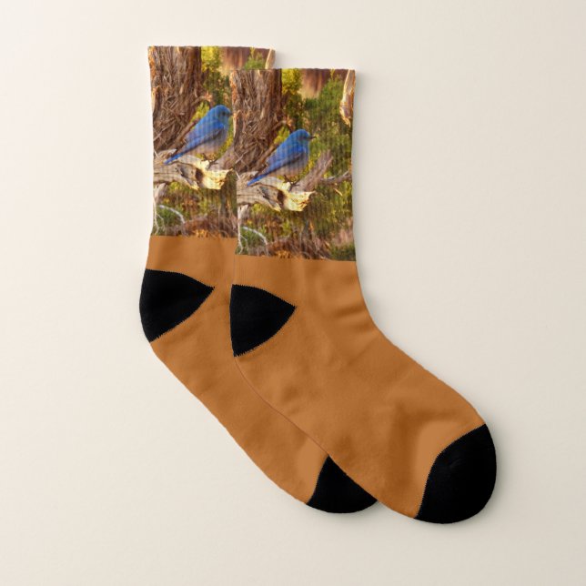 Mountain Bluebird im Nationalpark Arches Socken (Paar)